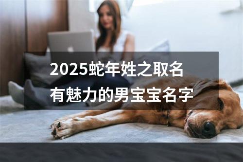 2025蛇年姓之取名有魅力的男宝宝名字