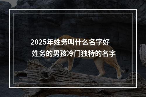 2025年姓务叫什么名字好 姓务的男孩冷门独特的名字