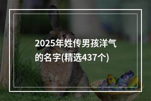 2025年姓传男孩洋气的名字(精选437个)