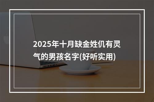 2025年十月缺金姓仉有灵气的男孩名字(好听实用)