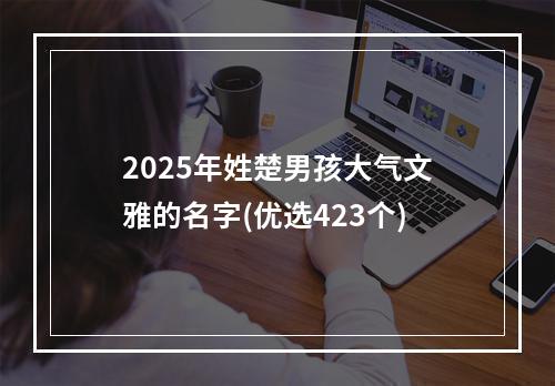 2025年姓楚男孩大气文雅的名字(优选423个)