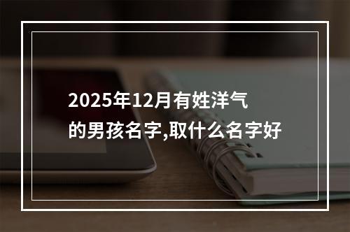 2025年12月有姓洋气的男孩名字,取什么名字好