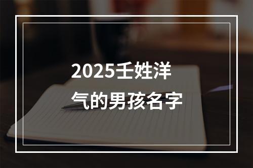 2025壬姓洋气的男孩名字