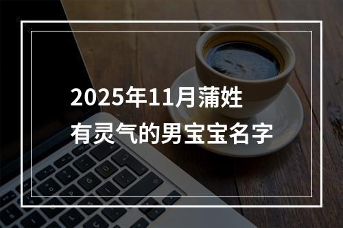 2025年11月蒲姓有灵气的男宝宝名字