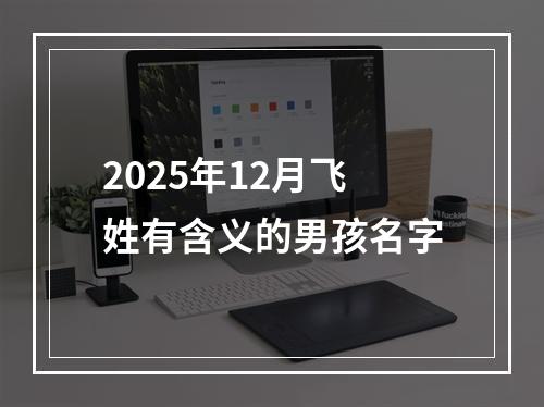 2025年12月飞姓有含义的男孩名字