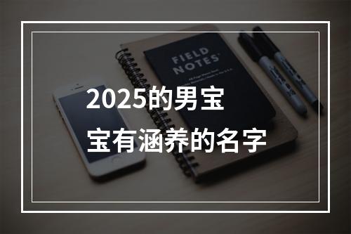 2025的男宝宝有涵养的名字