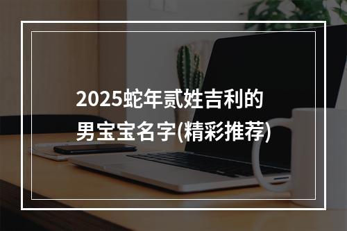 2025蛇年贰姓吉利的男宝宝名字(精彩推荐)