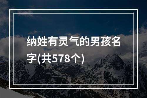 纳姓有灵气的男孩名字(共578个)