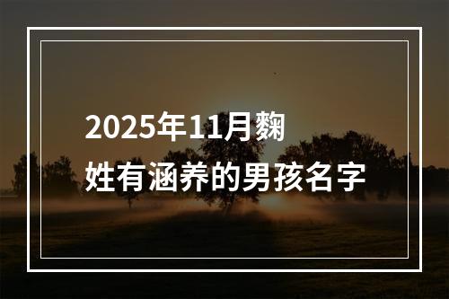 2025年11月麴姓有涵养的男孩名字