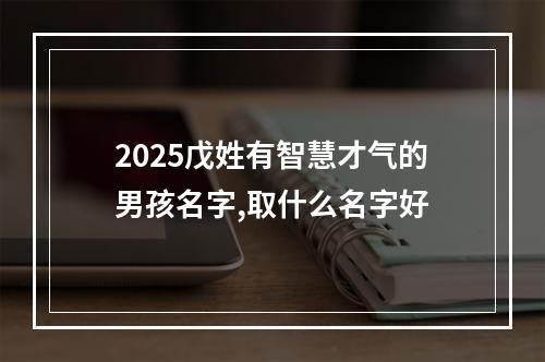 2025戊姓有智慧才气的男孩名字,取什么名字好