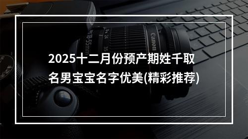 2025十二月份预产期姓千取名男宝宝名字优美(精彩推荐)