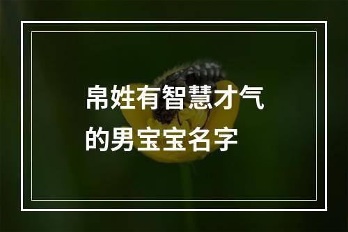 帛姓有智慧才气的男宝宝名字