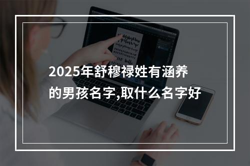 2025年舒穆禄姓有涵养的男孩名字,取什么名字好