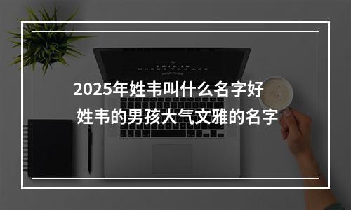 2025年姓韦叫什么名字好 姓韦的男孩大气文雅的名字