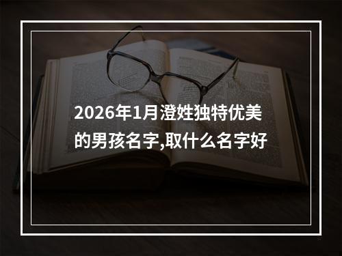 2026年1月澄姓独特优美的男孩名字,取什么名字好
