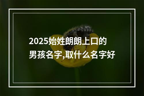 2025始姓朗朗上口的男孩名字,取什么名字好