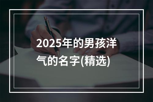 2025年的男孩洋气的名字(精选)