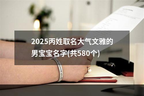 2025丙姓取名大气文雅的男宝宝名字(共580个)