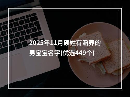 2025年11月硕姓有涵养的男宝宝名字(优选449个)