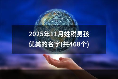 2025年11月姓税男孩优美的名字(共468个)