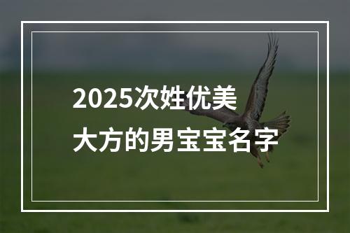 2025次姓优美大方的男宝宝名字
