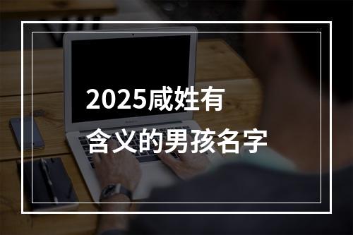 2025咸姓有含义的男孩名字