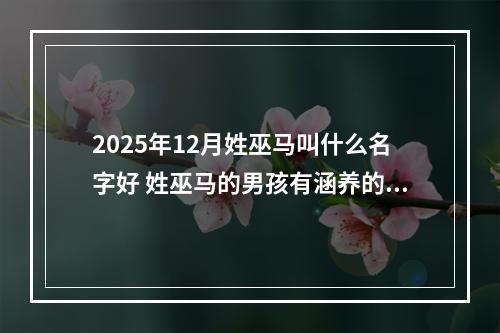 2025年12月姓巫马叫什么名字好 姓巫马的男孩有涵养的名字