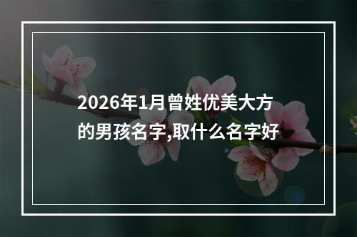 2026年1月曾姓优美大方的男孩名字,取什么名字好