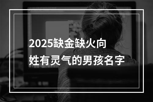 2025缺金缺火向姓有灵气的男孩名字