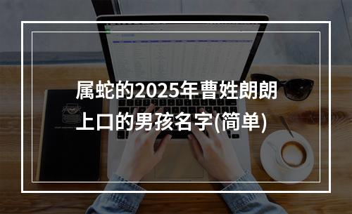 属蛇的2025年曹姓朗朗上口的男孩名字(简单)