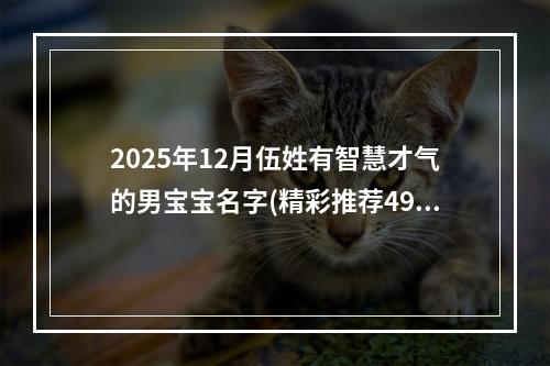 2025年12月伍姓有智慧才气的男宝宝名字(精彩推荐498个)