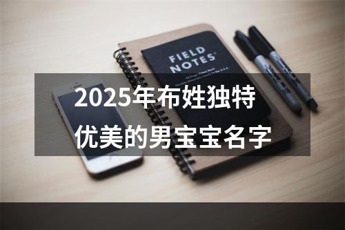 2025年布姓独特优美的男宝宝名字
