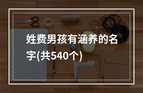 姓费男孩有涵养的名字(共540个)