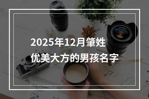 2025年12月肇姓优美大方的男孩名字