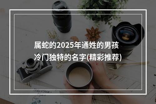属蛇的2025年通姓的男孩冷门独特的名字(精彩推荐)