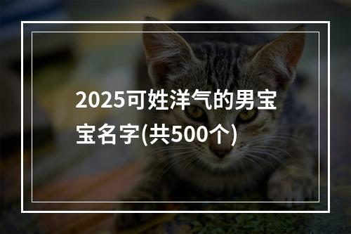 2025可姓洋气的男宝宝名字(共500个)