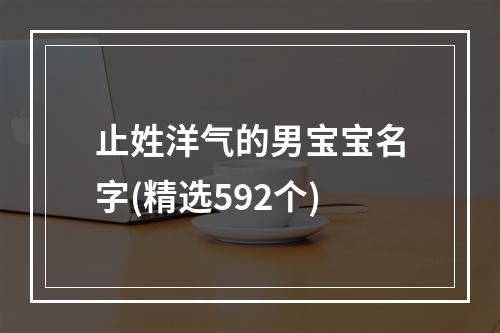 止姓洋气的男宝宝名字(精选592个)