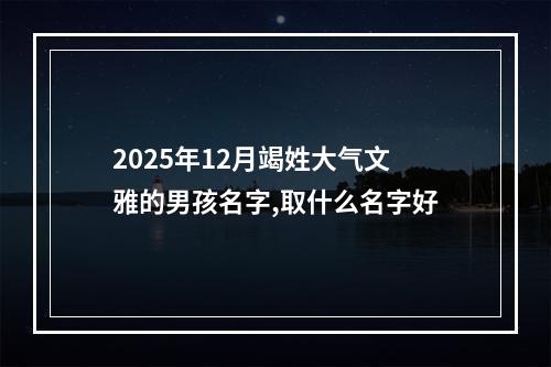 2025年12月竭姓大气文雅的男孩名字,取什么名字好