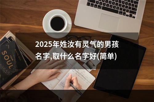 2025年姓汝有灵气的男孩名字,取什么名字好(简单)