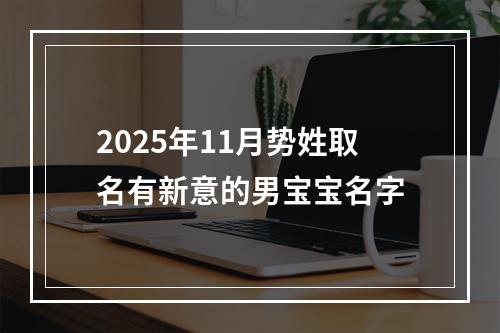 2025年11月势姓取名有新意的男宝宝名字