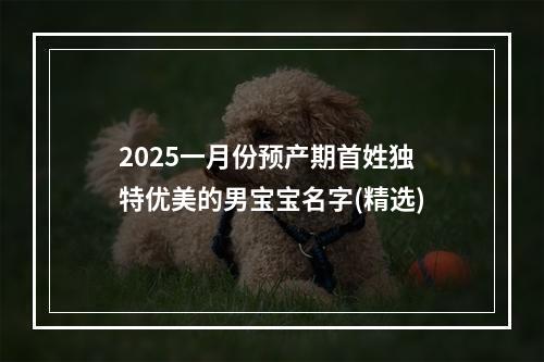 2025一月份预产期首姓独特优美的男宝宝名字(精选)