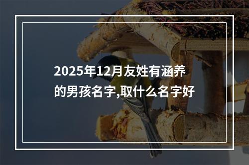 2025年12月友姓有涵养的男孩名字,取什么名字好