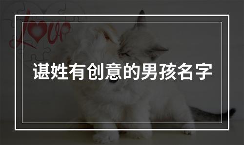 谌姓有创意的男孩名字