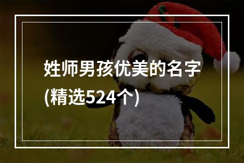 姓师男孩优美的名字(精选524个)