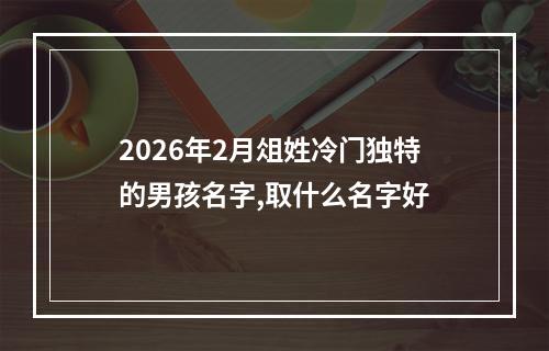 2026年2月俎姓冷门独特的男孩名字,取什么名字好