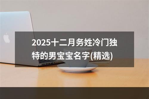 2025十二月务姓冷门独特的男宝宝名字(精选)