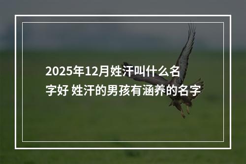 2025年12月姓汗叫什么名字好 姓汗的男孩有涵养的名字