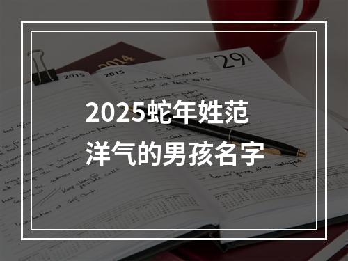 2025蛇年姓范洋气的男孩名字