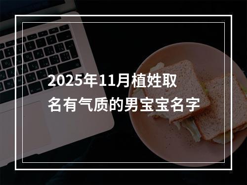 2025年11月植姓取名有气质的男宝宝名字