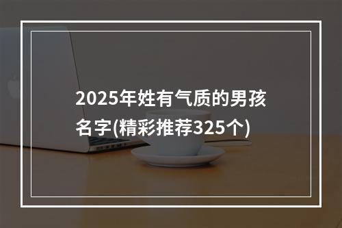 2025年姓有气质的男孩名字(精彩推荐325个)